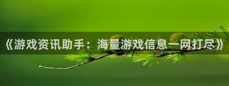 长征娱乐官网：《游戏资讯助手：海量游戏信息一网打尽》
