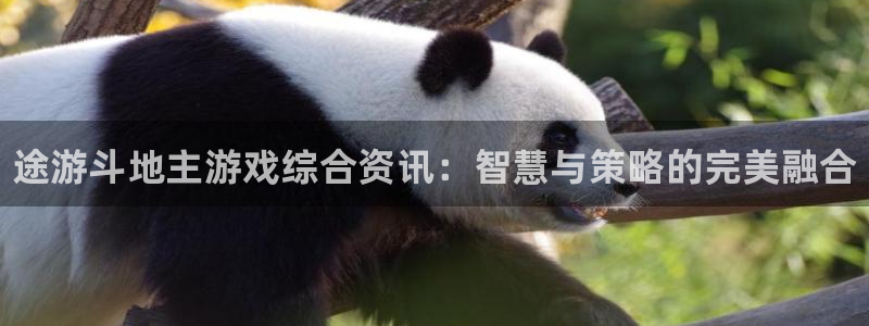 长征娱乐下载：途游斗地主游戏综合资讯：智慧与策略的完美融合