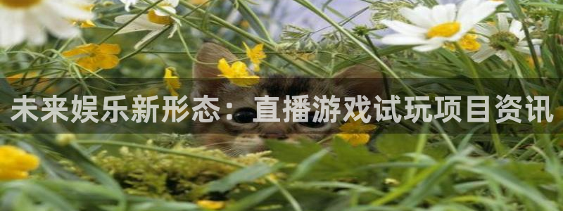 长征娱乐线路测试
