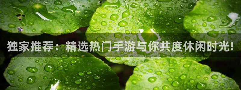 长征娱乐官方登录网址：独家推荐：精选热门手游与你共度休闲时光