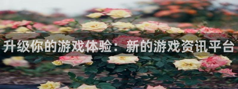 长征娱乐平台登录：升级你的游戏体验：新的游戏资讯平台