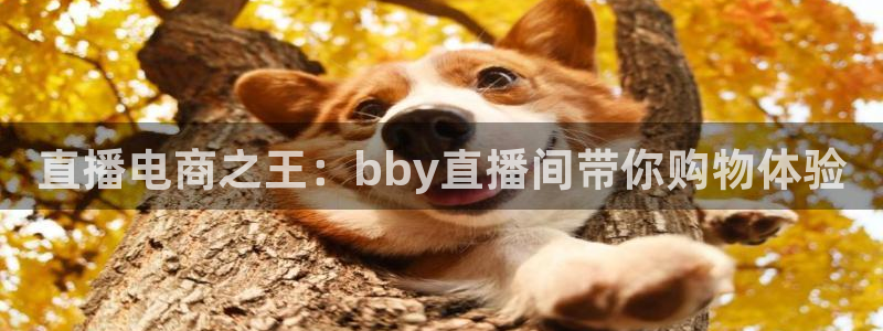 绿茵体育直播：直播电商之王：bby直播间带你购物体验