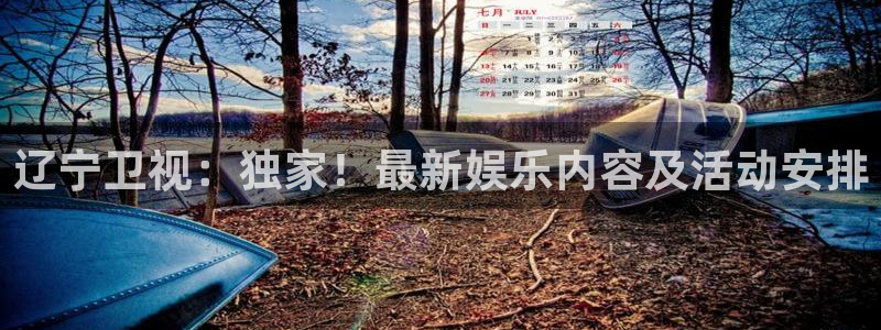 绿茵体育直播lyzb