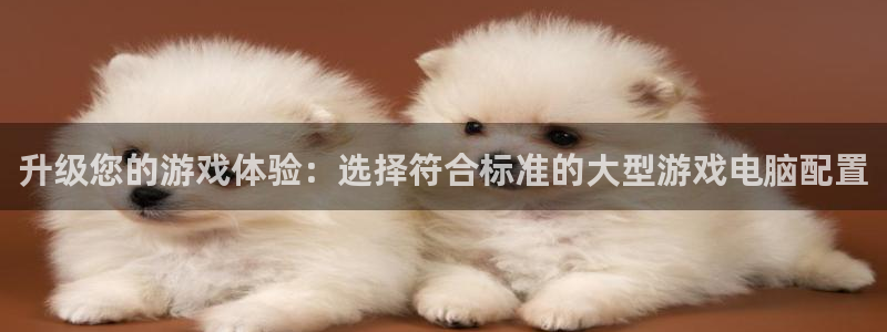cba绿茵直播：升级您的游戏体验：选择符合标准的大型游戏电脑配置