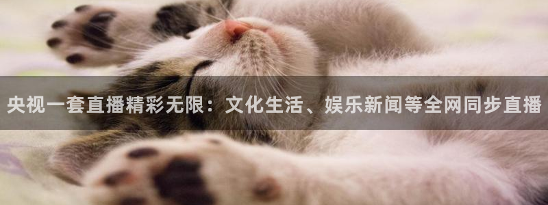 绿茵体育直播间：央视一套直播精彩无限：文化生活、娱乐新闻等全网同步直播