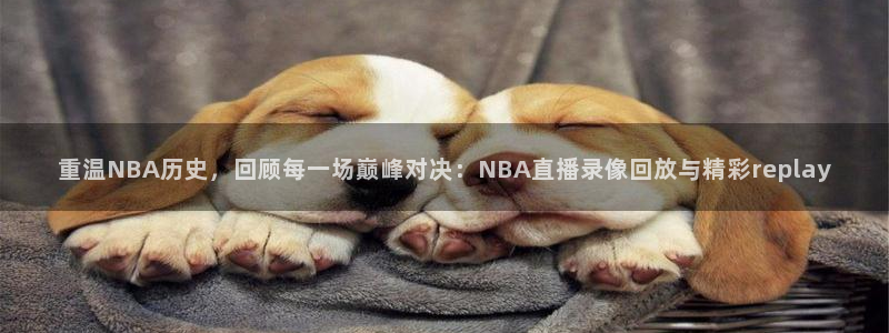 绿茵直播体育在线：重温NBA历史，回顾每一场巅峰对决：NBA直播录像回放与精彩replay