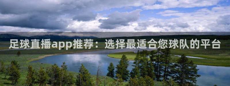 绿茵体育比赛直播：足球直播app推荐：选择最适合您球队的平台