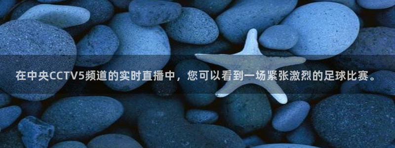 绿茵直播足球直播：在中央CCTV5频道的实时直播中，您可以看到一场紧张激烈的足球比赛。