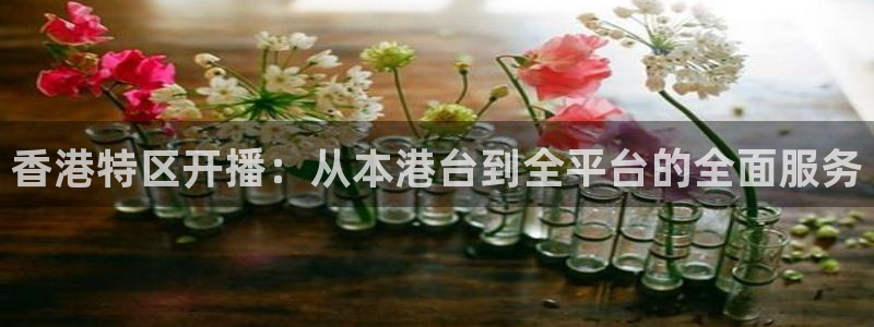 绿茵直播体育app下载：香港特区开播：从本港台到全平台的全面服务